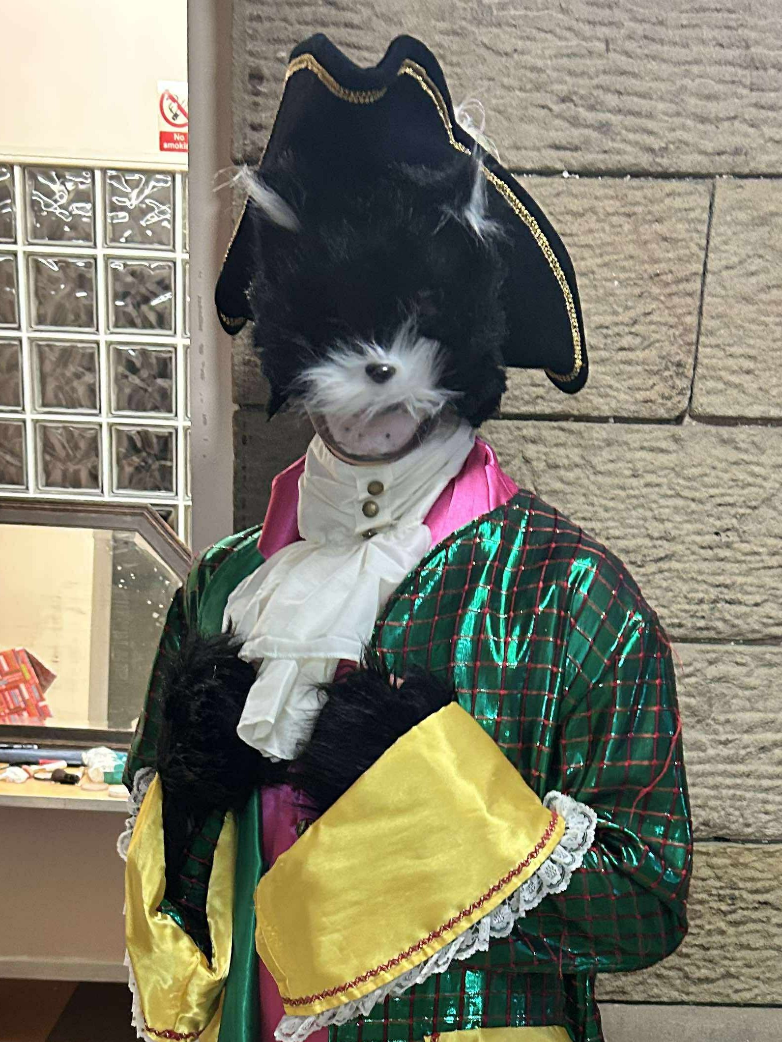 no picture available